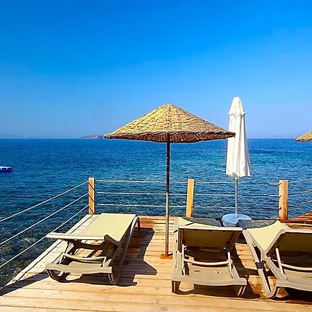 فندق Vega Aparts 3*